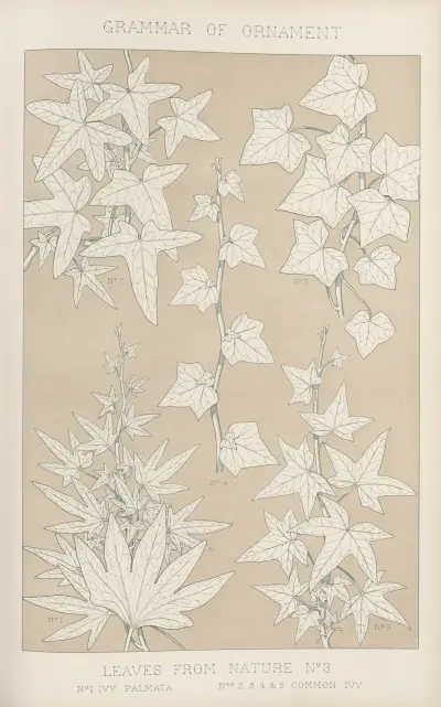 Leaves from Nature No. 3 av Owen Jones