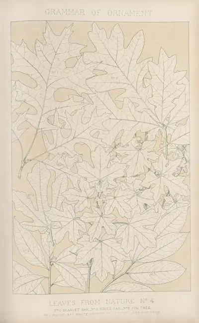 Leaves from Nature No. 4 av Owen Jones