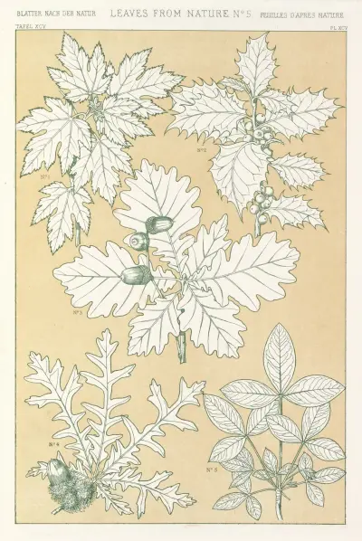 Blad ur naturen nr 5 av Owen Jones