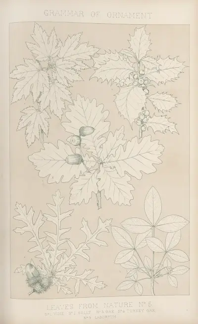 Leaves from Nature No. 5, 1856 av Owen Jones