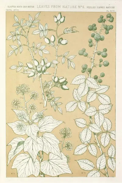 Blad från naturen nr 6 av Owen Jones