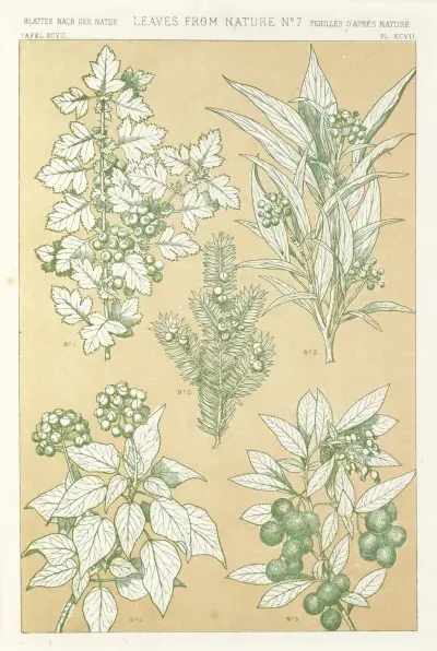 Leaves from Nature No.7 av Owen Jones