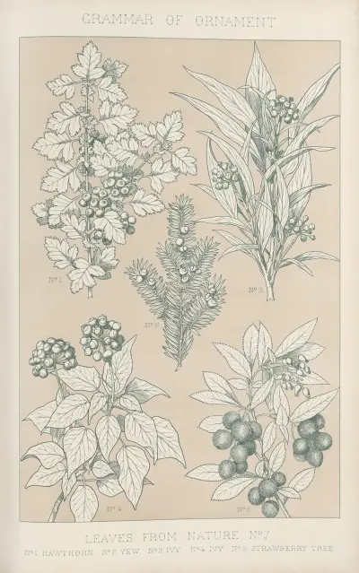 Leaves from Nature No. 7 av Owen Jones