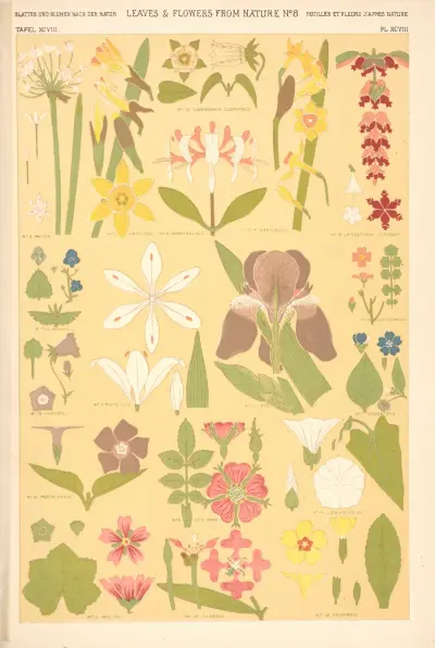 Blad från naturen nr 8 av Owen Jones