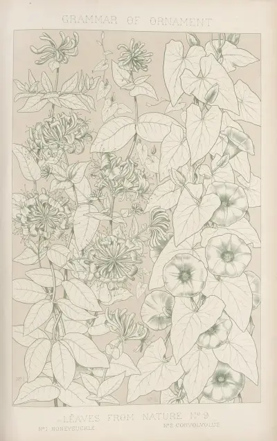Leaves from Nature No. 9 av Owen Jones