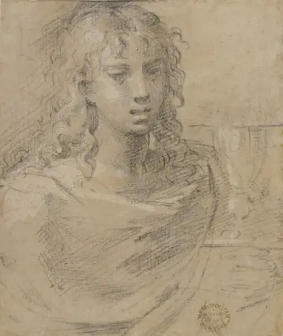 Bust of Saint John the Evangelist av Parmigianino