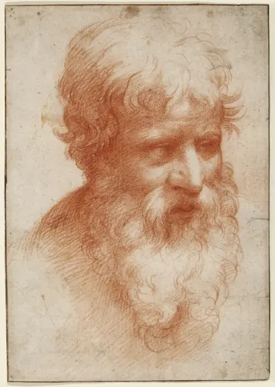 Head of a Bearded Man, looking right av Parmigianino