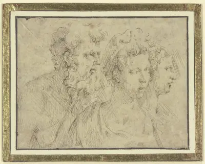 Köpfe eines bärtigen Mannes und zweier Frauen av Parmigianino