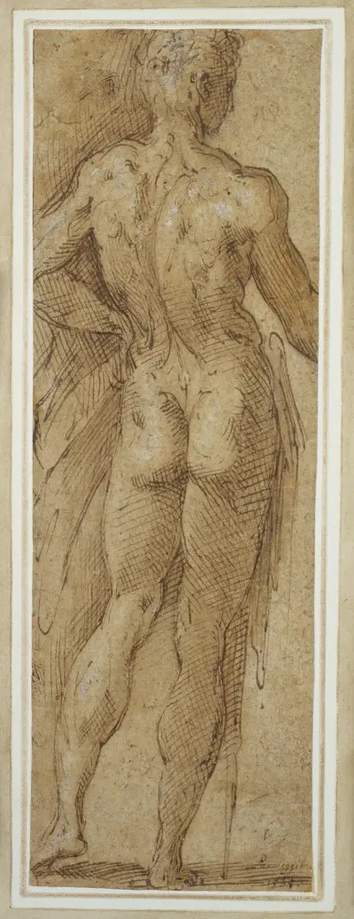 Stehender männlicher Akt in Rückenansicht av Parmigianino