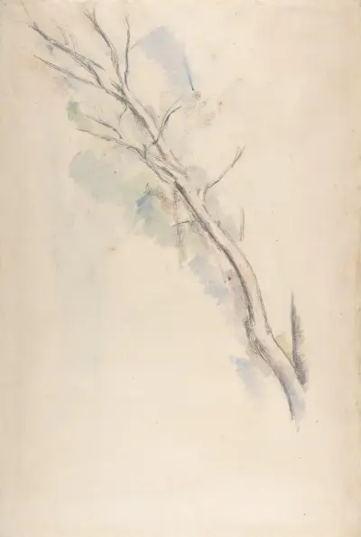 Study of a tree av Paul Cézanne