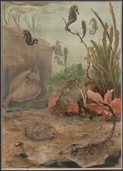 Flounders and seahorses av Paul Flanderky