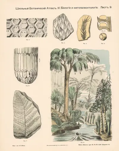 Ferns and Cryptogams av Alexander-Paul Henckel
