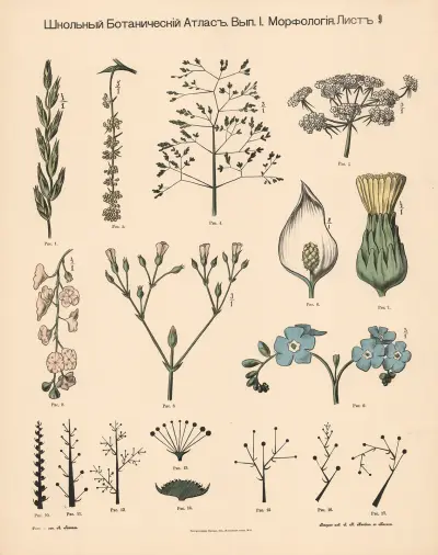 Flowers, 1905 – nr 1 av Alexander-Paul Henckel