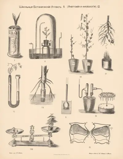 Various experiments av Alexander-Paul Henckel