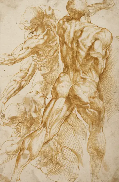 Anatomical Studies, 1600 – nr 1 av Peter Paul Rubens