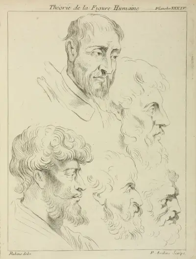 Five studies of men’s heads, four in profile av Peter Paul Rubens