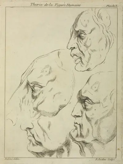Four faces–three human, one horse– in profile av Peter Paul Rubens