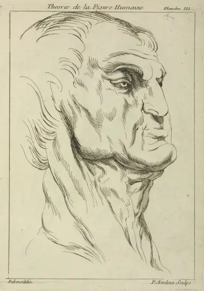 Head of a man av Peter Paul Rubens