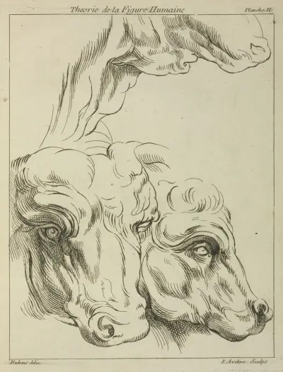 Heads and necks of two bovines; portion of neck of a third av Peter Paul Rubens
