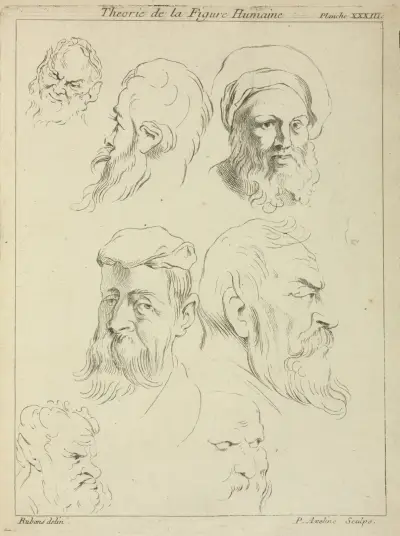 Seven male heads, all with beards, two wearing caps av Peter Paul Rubens