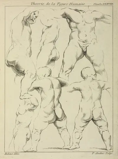 Studies of male torsos av Peter Paul Rubens