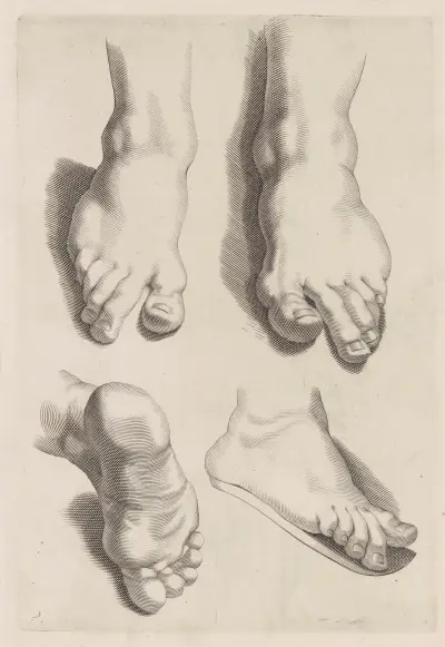 Study of Feet av Peter Paul Rubens