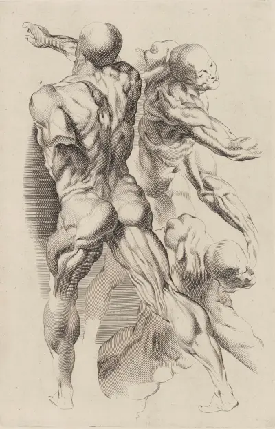 Study of Two Naked Men av Peter Paul Rubens