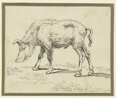 A pig to the left av Paulus Potter