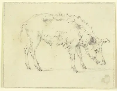 Ein Schwein nach rechts von Paulus Potter