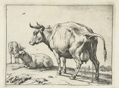 Cow peeing av Paulus Potter
