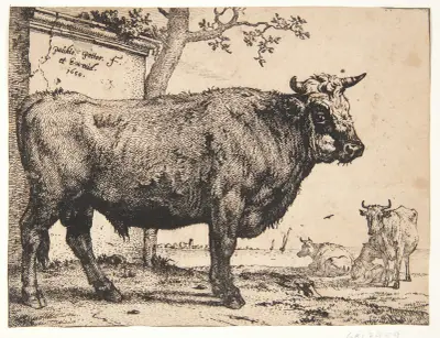 En tyr av Paulus Potter