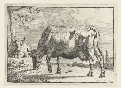 Grazing cow av Paulus Potter