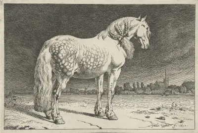 Das Friesische Pferd von Paulus Potter