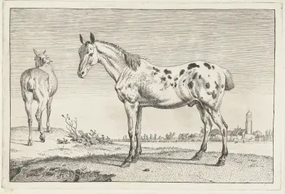 Das geschorene Pferd (Pferde) von Paulus Potter