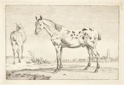Hügelpferd von Paulus Potter