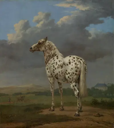 Das scheckige Pferd von Paulus Potter
