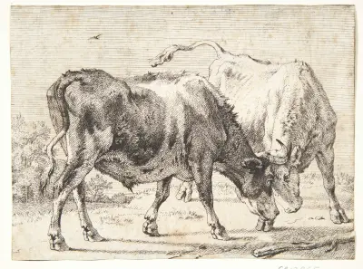 To kæmpende okser av Paulus Potter