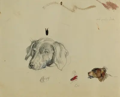 Hundestudie av Johann Peter Krafft