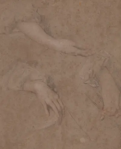 Studie rukou – Nr. 5, Sir Peter Lely