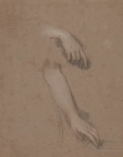 Studie rukou – Nr. 6, Sir Peter Lely
