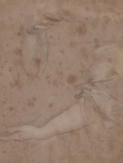 Kresby rukou – Nr. 9, Sir Peter Lely
