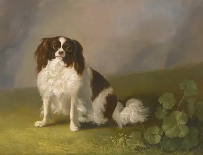 Porträtt av en King Charles-spaniel i landskap av Jacob Philipp Hackert