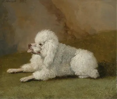 Porträt Eines Pudels av Jacob Philipp Hackert