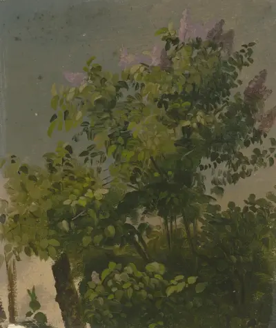 Blommande syrenbuske av Philipp Rumpf