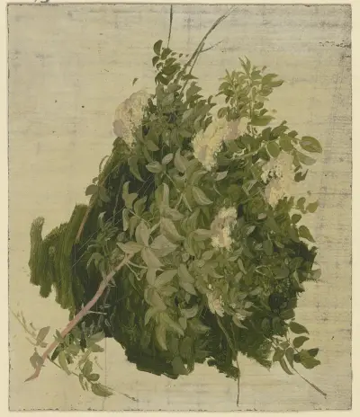 Buskage med vita blommor av Philipp Rumpf