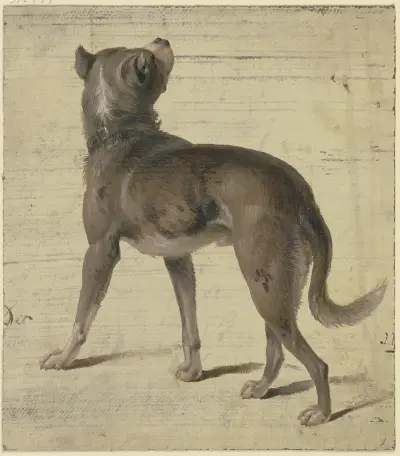 Dog av Philipp Rumpf