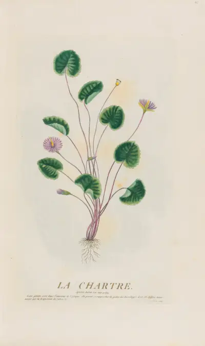 La Chartre von Pierre Philippe Alyon
