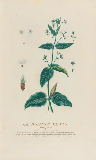 Krotitel jedu, Pierre Philippe Alyon
