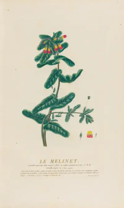 Le Melinet, Pierre Philippe Alyon