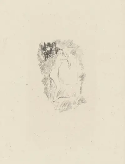 Nu à la toilette av Pierre Bonnard